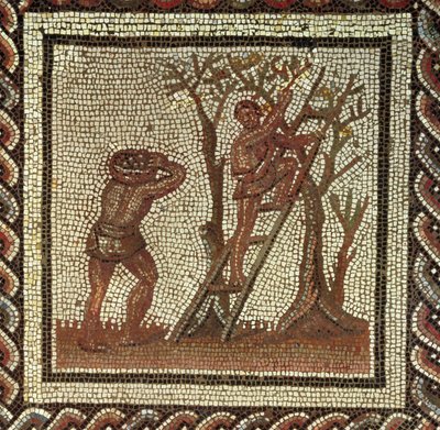 Cosechando fruta, mosaico romano de Saint-Romain-en-Gal, Francia, 200-225 d.C. de Roman